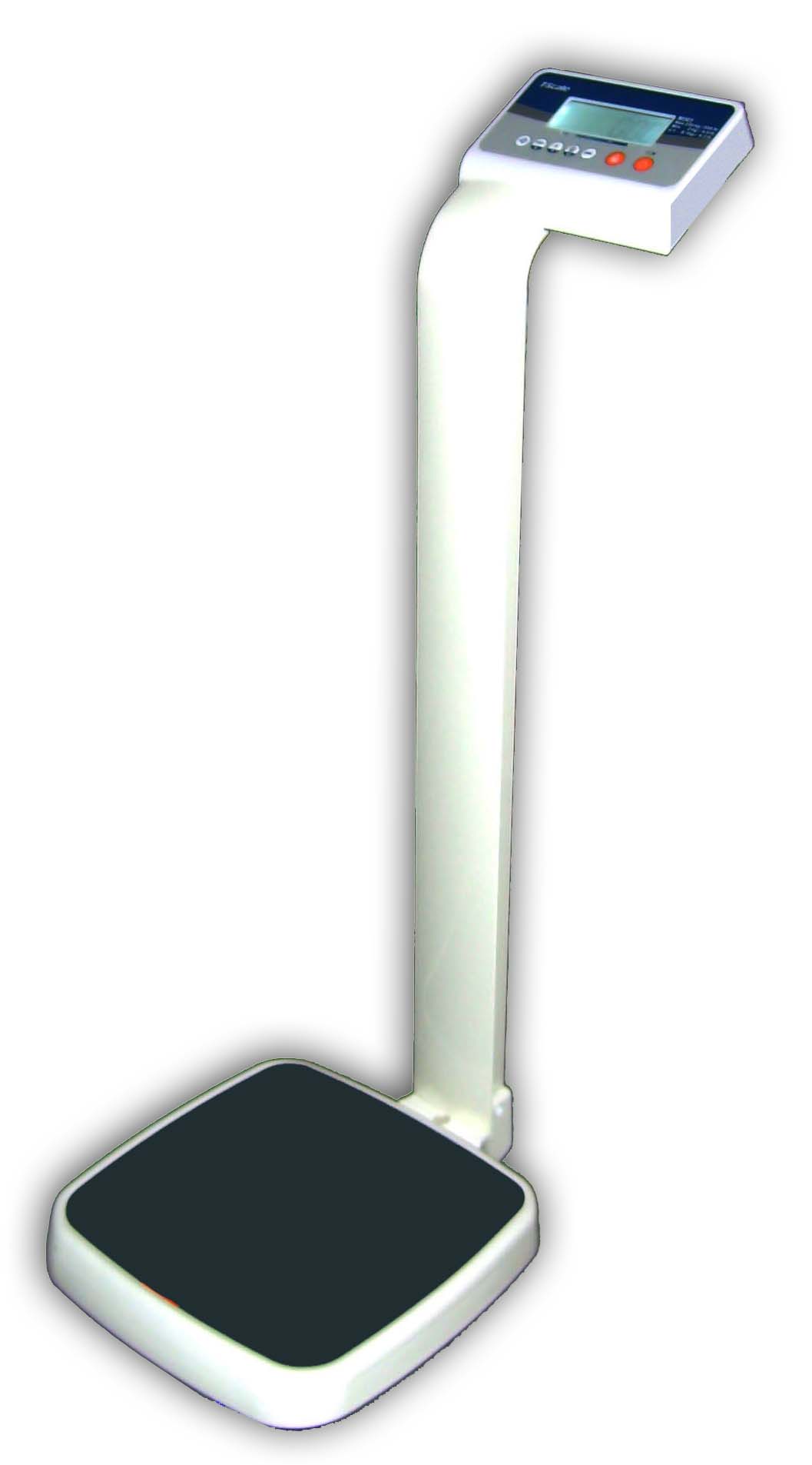 WSI602 Image
